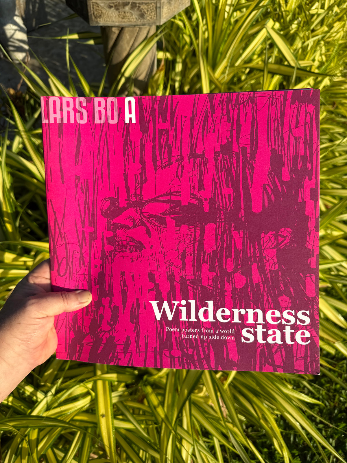 wilderness state